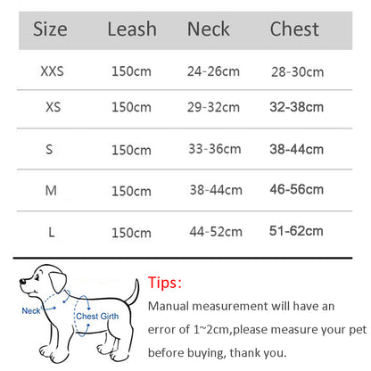 Dog Harness Leash Set